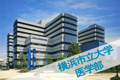 横浜市立大学医学部