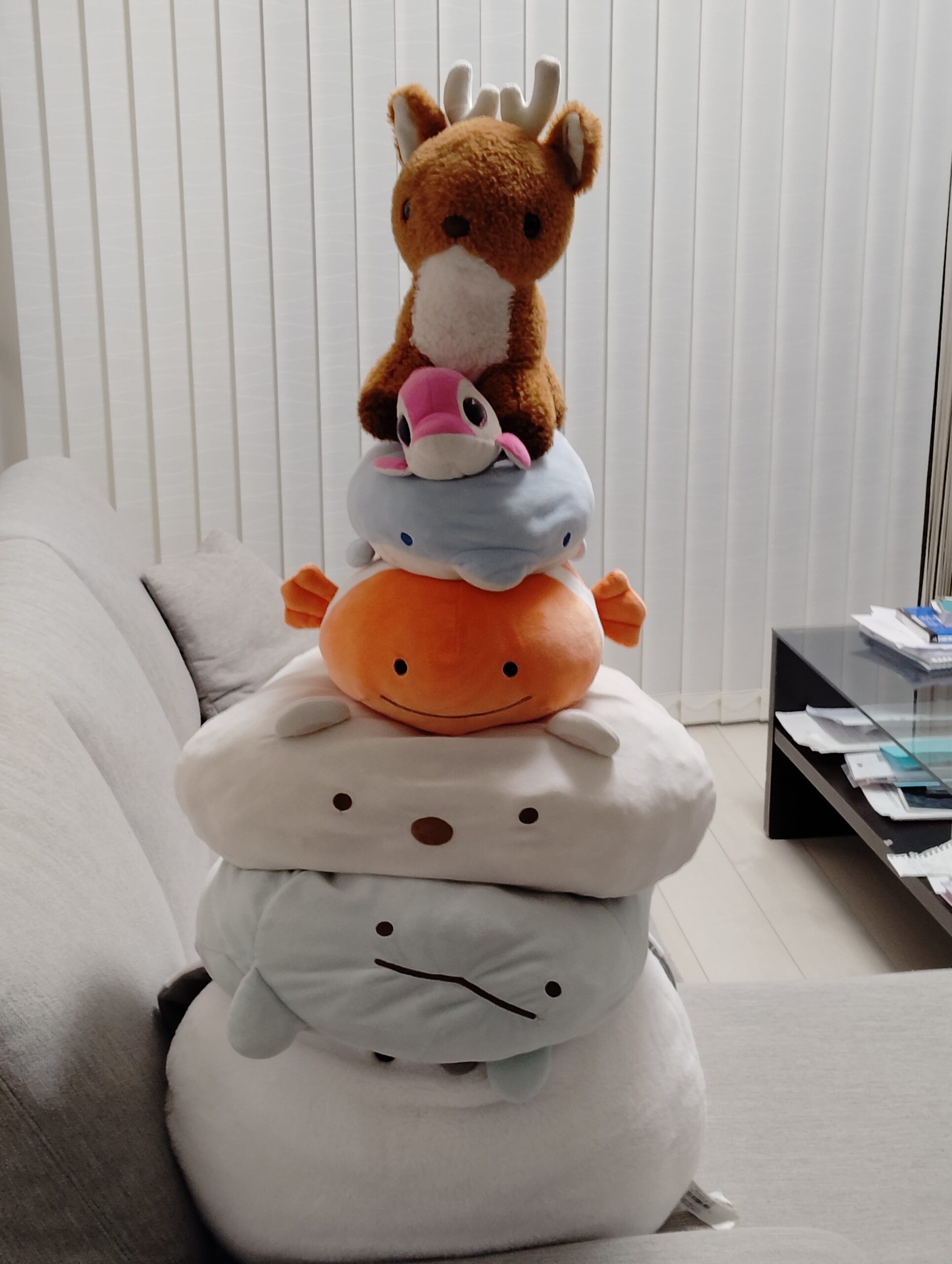 拓殖大学第一高等学校合格